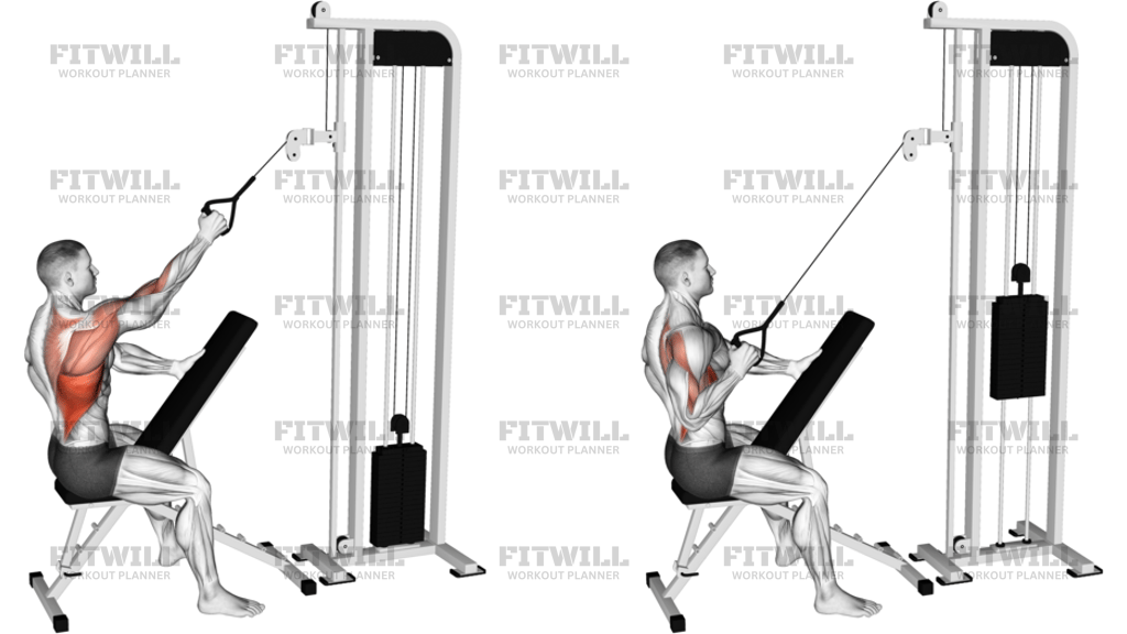 Cable Single-Arm High Row