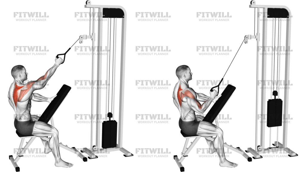 Cable Single-Arm High Scapular Row