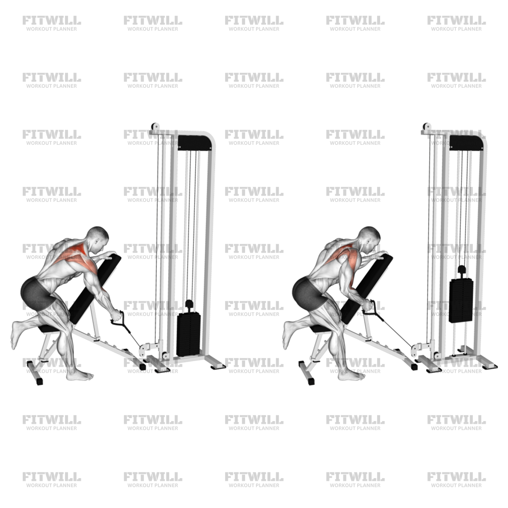 Cable Single Arm Low Scapular Row: Exercise Guide, Video, Techniques