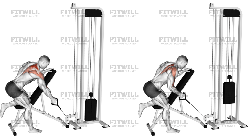 Cable Single-Arm Low Scapular Row