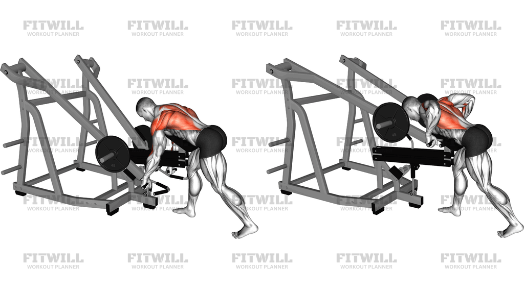 Lever Bent-Over Row With Chest Support