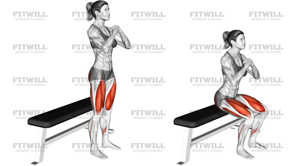 Bodyweight Bench Squat