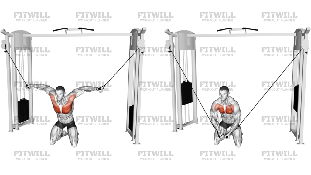 Cable Kneeling High To Low Fly