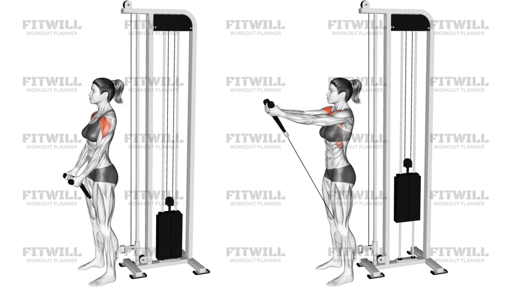 Cable Front Raise Rope Attachment