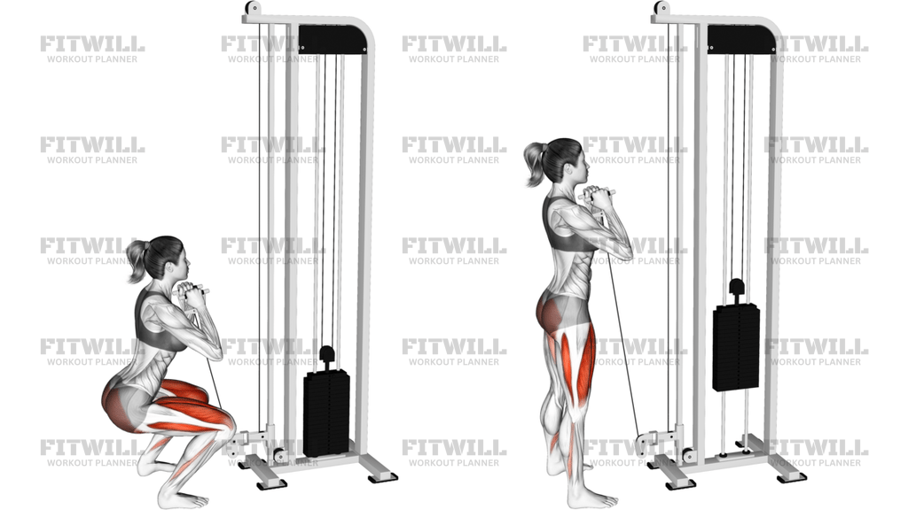 Cable Goblet Squat