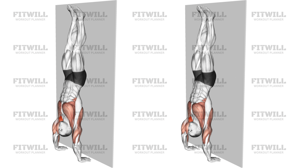 Handstand Hold On Wall