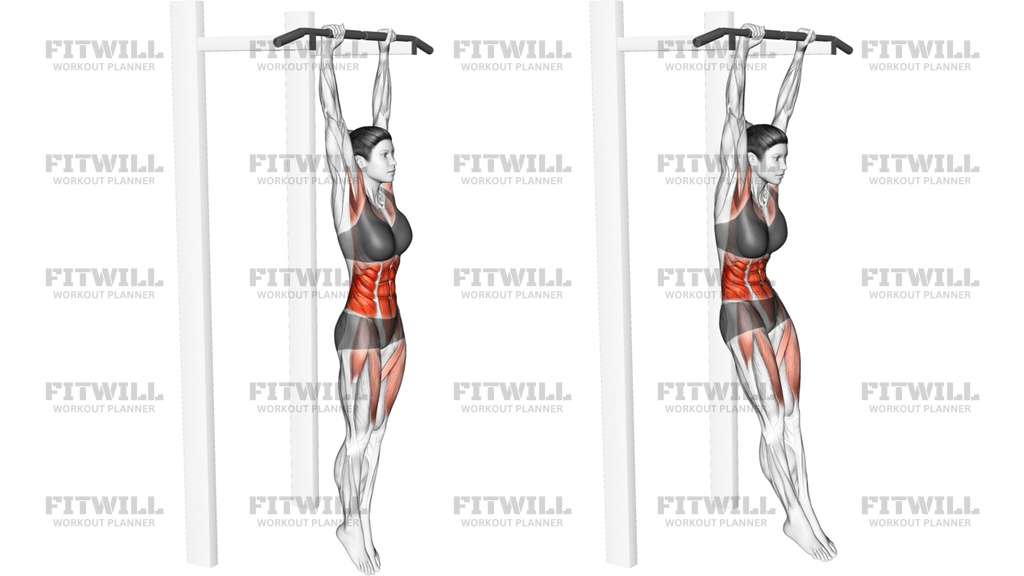 Hanging Hollow Hold
