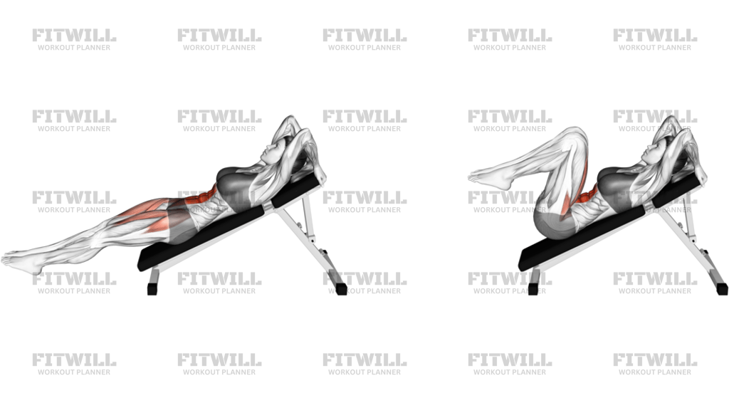 Decline Knee Raise