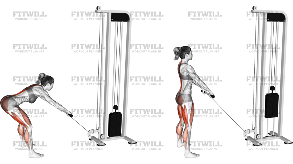 Cable Romanian Deadlift