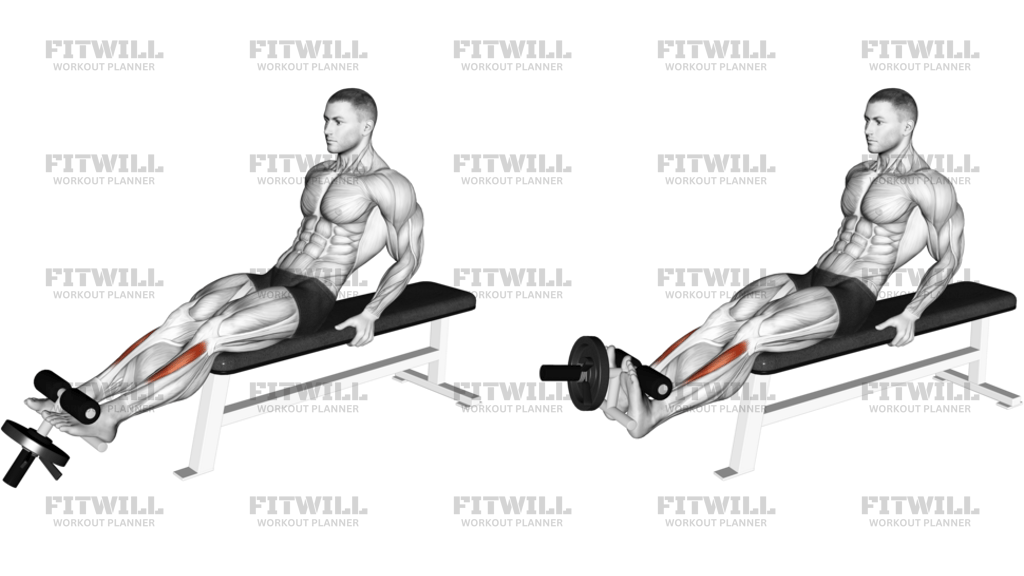 Ağırlık Plakası Ile Tibialis Anterior Curl