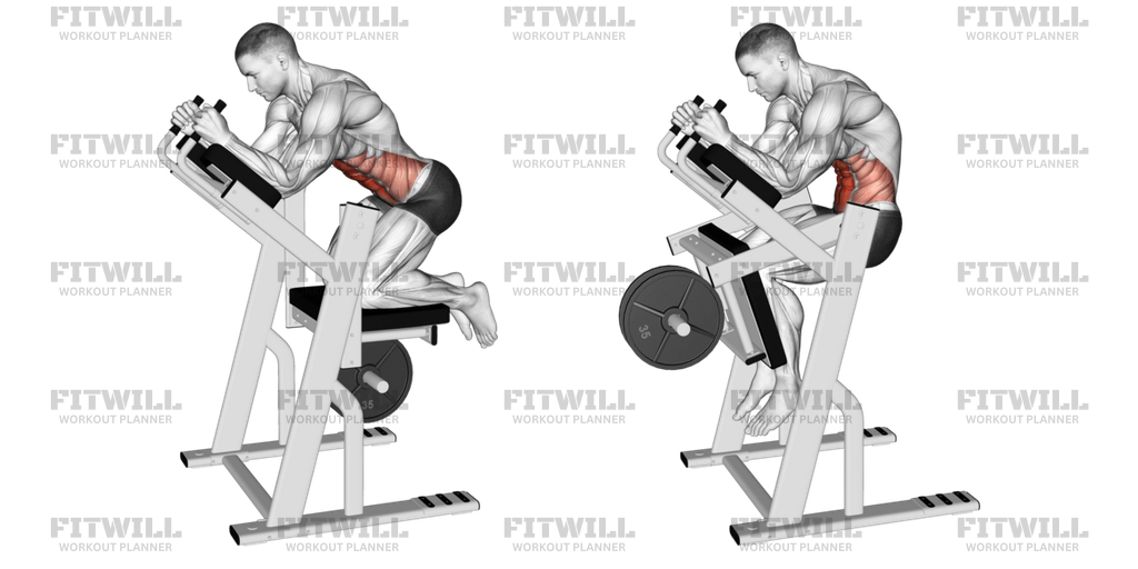Lever Ab Swing Exercise Guide, Video, Techniques, Benefits, How to