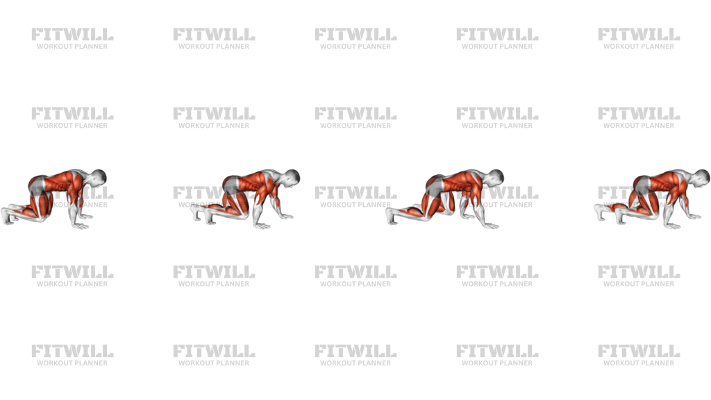 Bear Crawl Low Hip