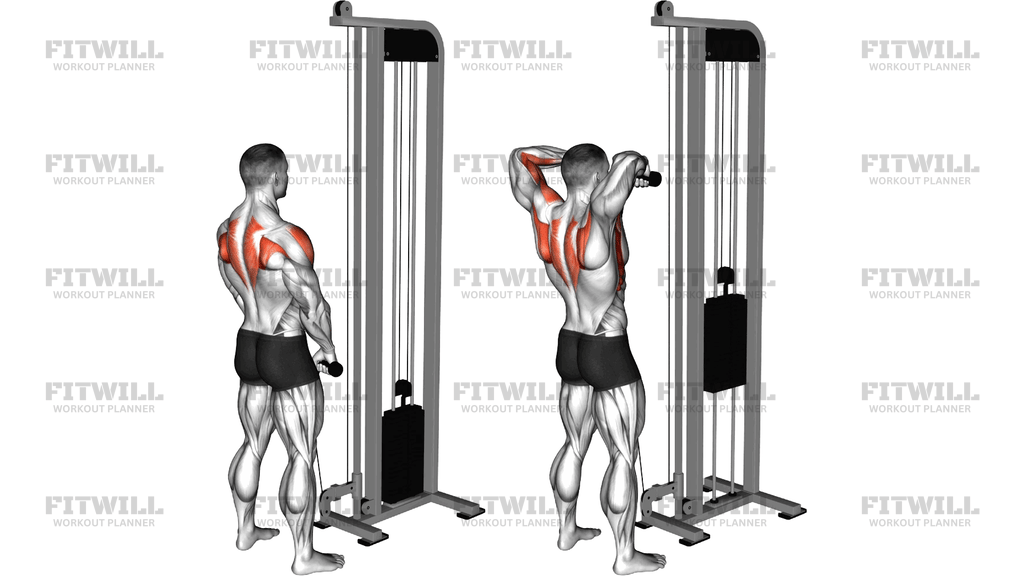 Cable High Pull With Rope Attachment