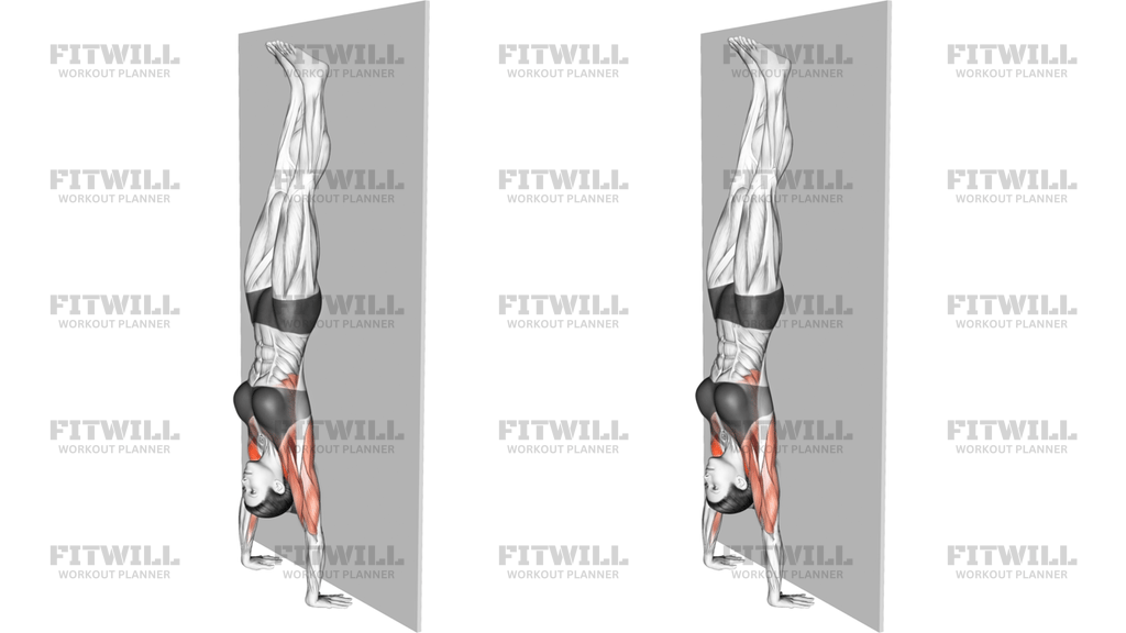 Handstand Hold On Wall