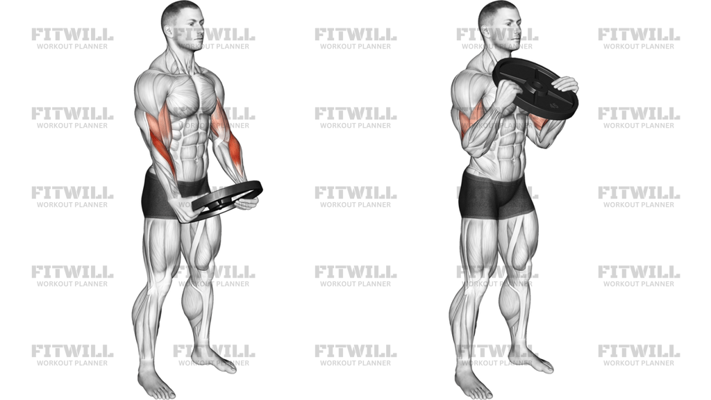 Weighted Plate Standing Biceps Curl