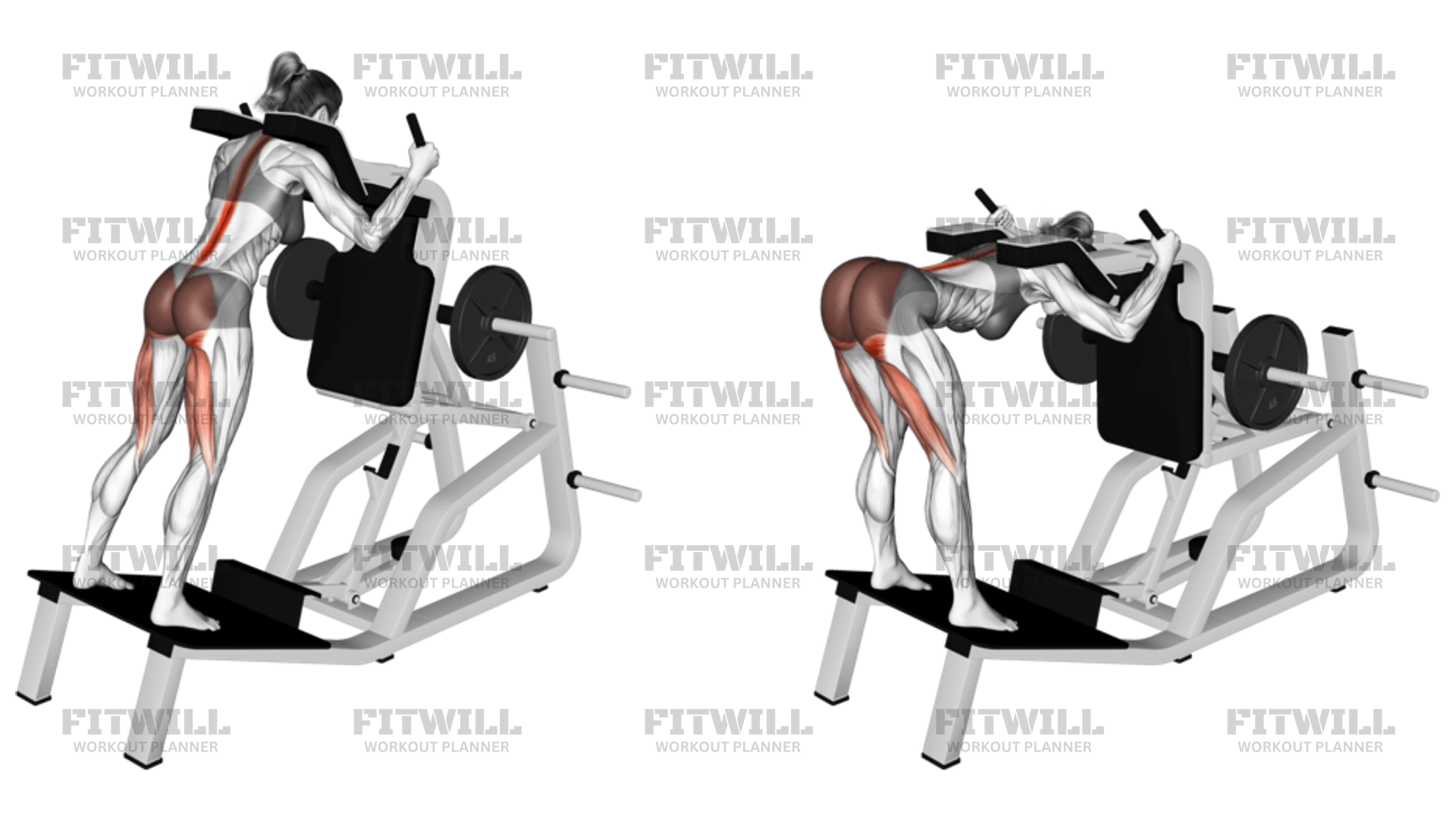 Cable hack squat hotsell