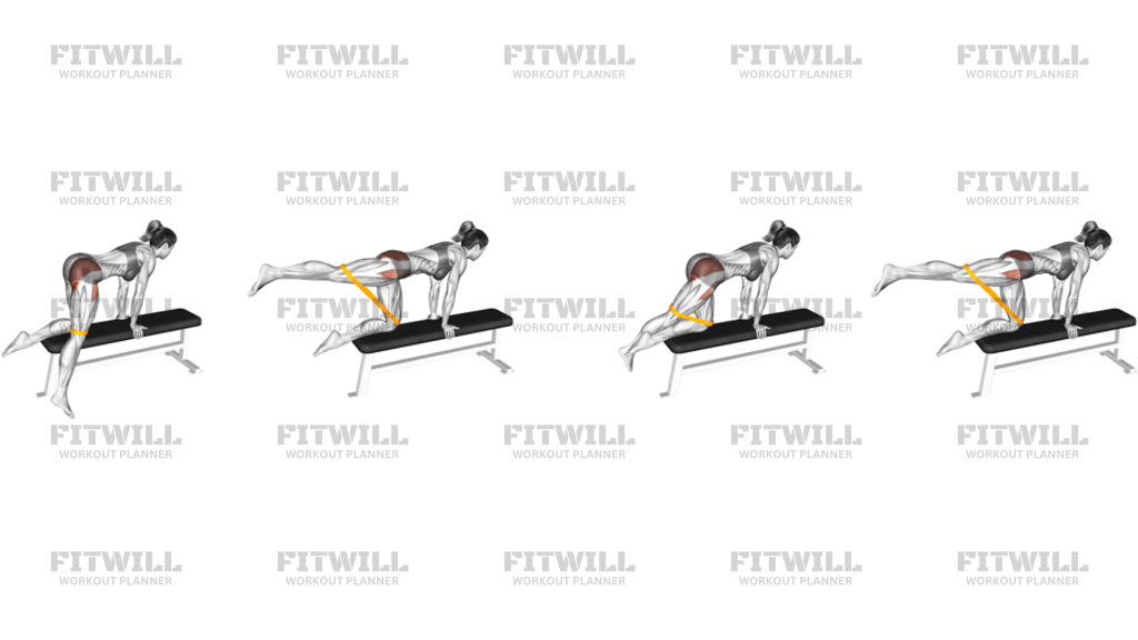 Resistance Band Kneeling Leg Half Circle On Bench