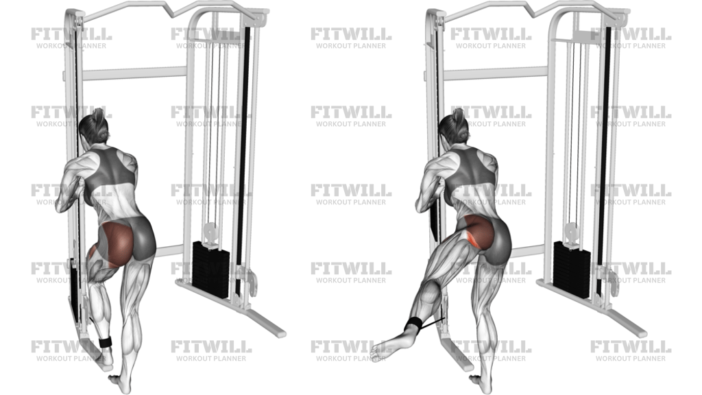 Cable Donkey Diagonal Kickback