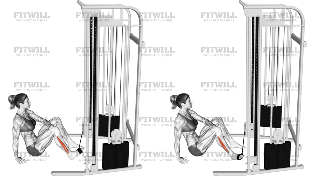 Cable Seated Foot Eversion