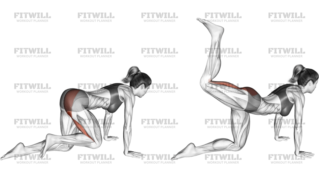 Kneeling Glute Press