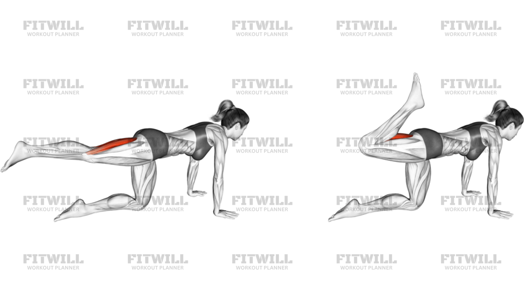 Kneeling Single Hamstring Curl