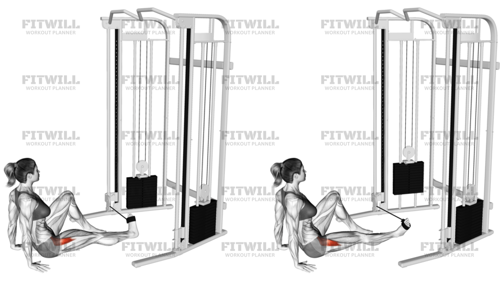 Seated Hip External Rotation