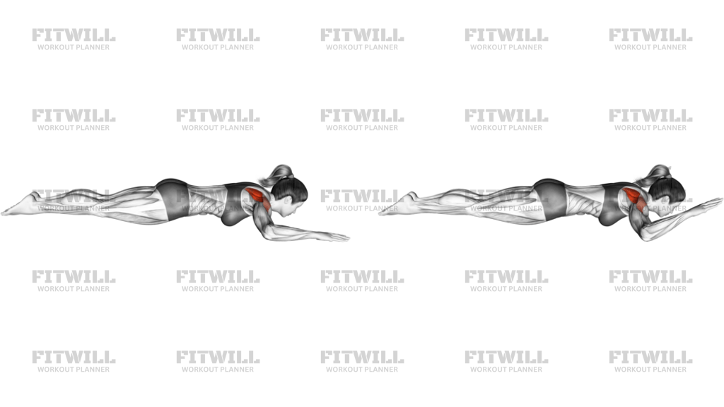 Bodyweight Lying Shoulder External Rotation