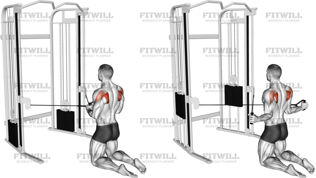 Cable Kneeling Shoulder External Rotation