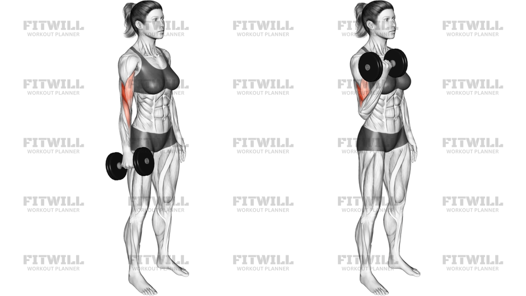 Dumbbell Standing Single-Arm Biceps Curl