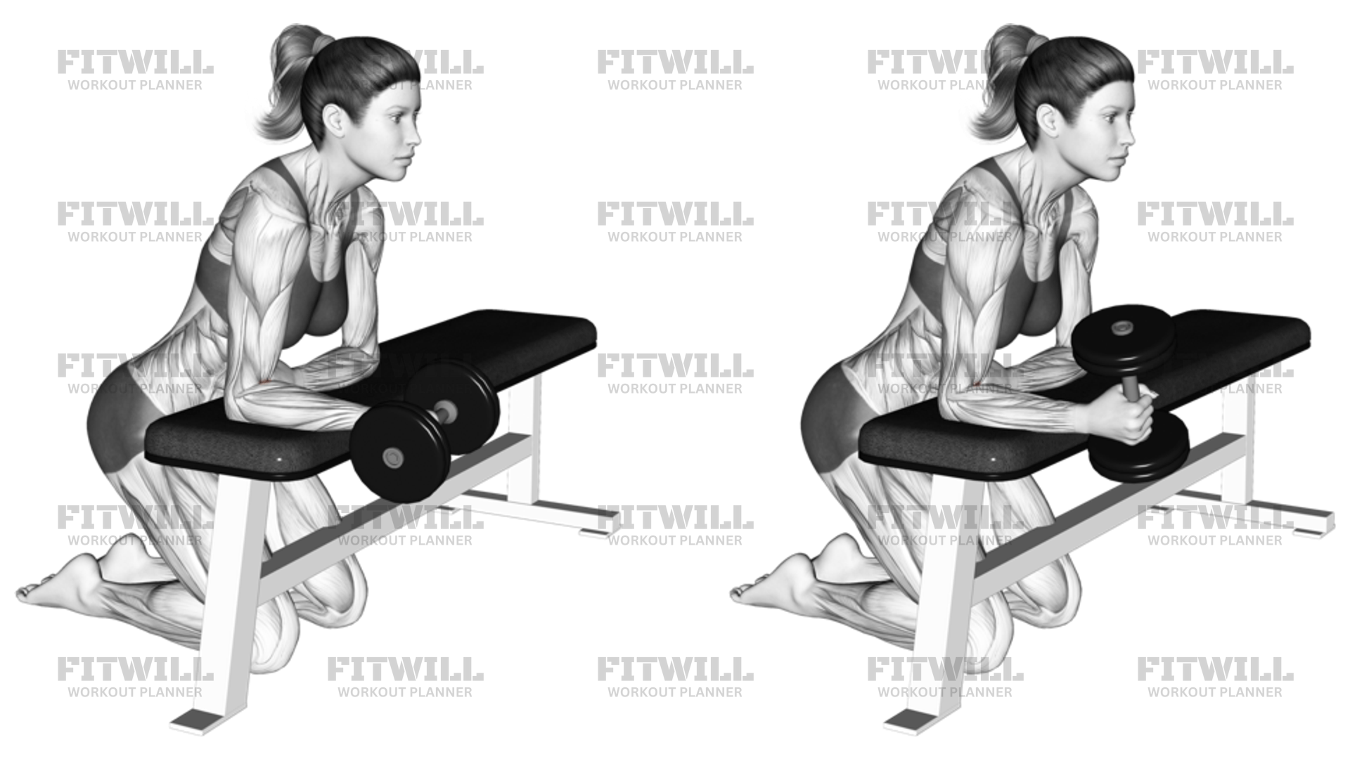 Dumbbell Over The Bench Supination: Exercise Guide, Video, Techniques ...