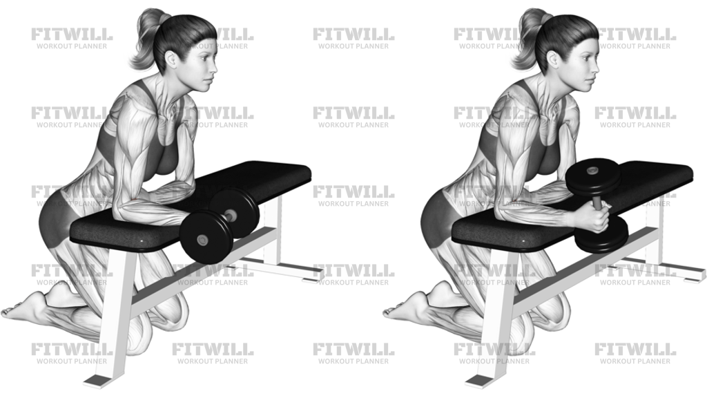 Dumbbell Over The Bench Supination