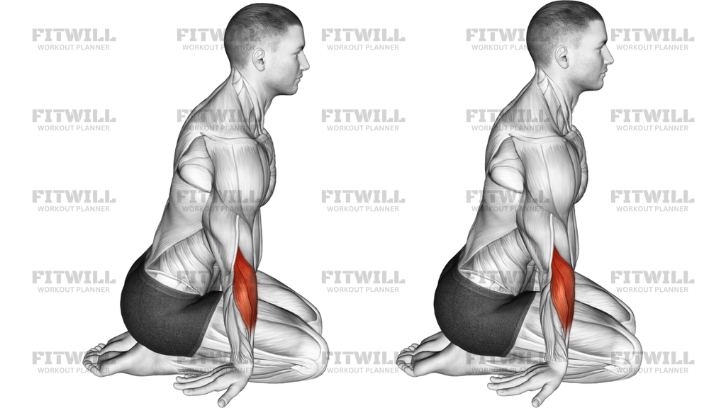 Seated Forearms Stretch