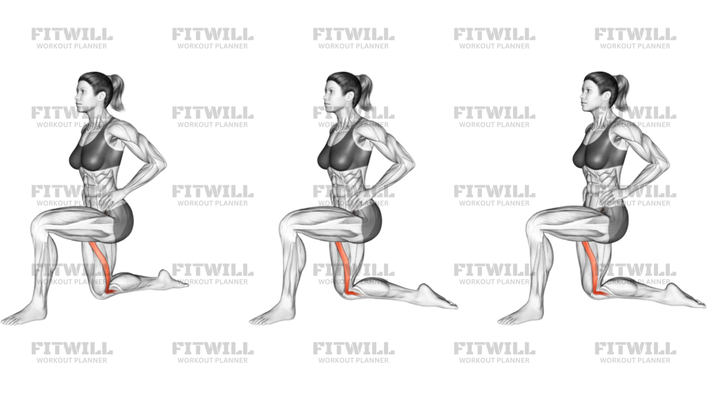 Kneeling Sartorius Stretch