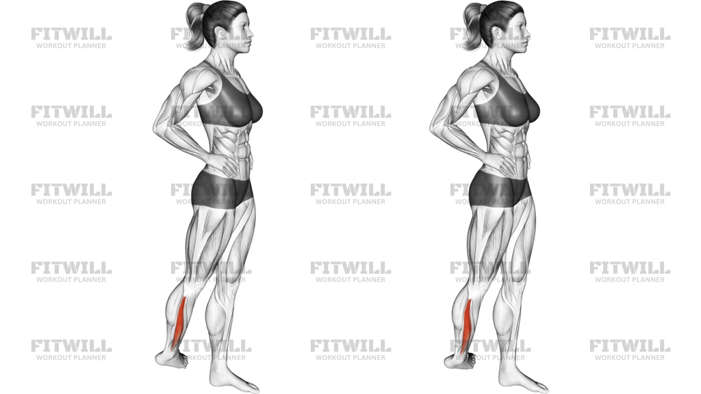 Standing Peroneus Muscles Stretch