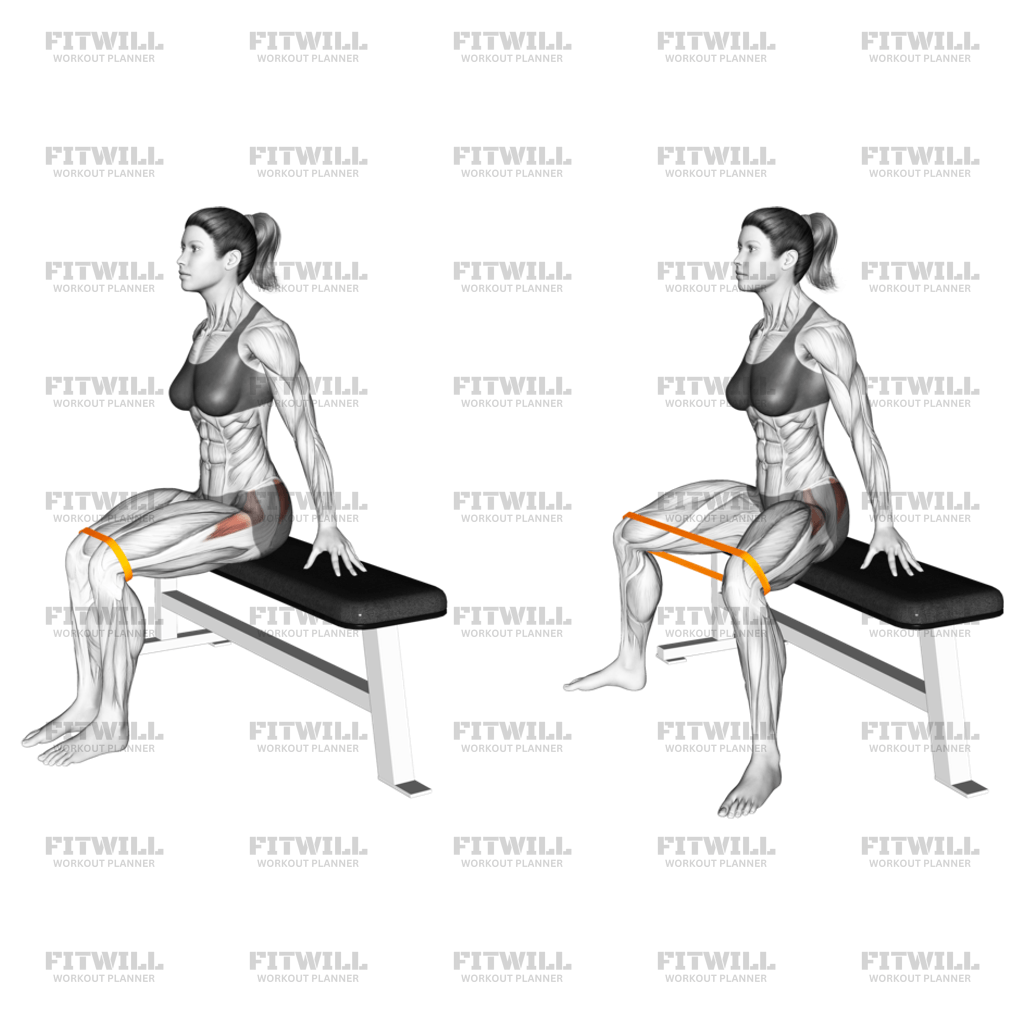 How To Do Resistance Band Seated Hip Abduction Version 2 Techniques Benefits Tips And Tricks 9068