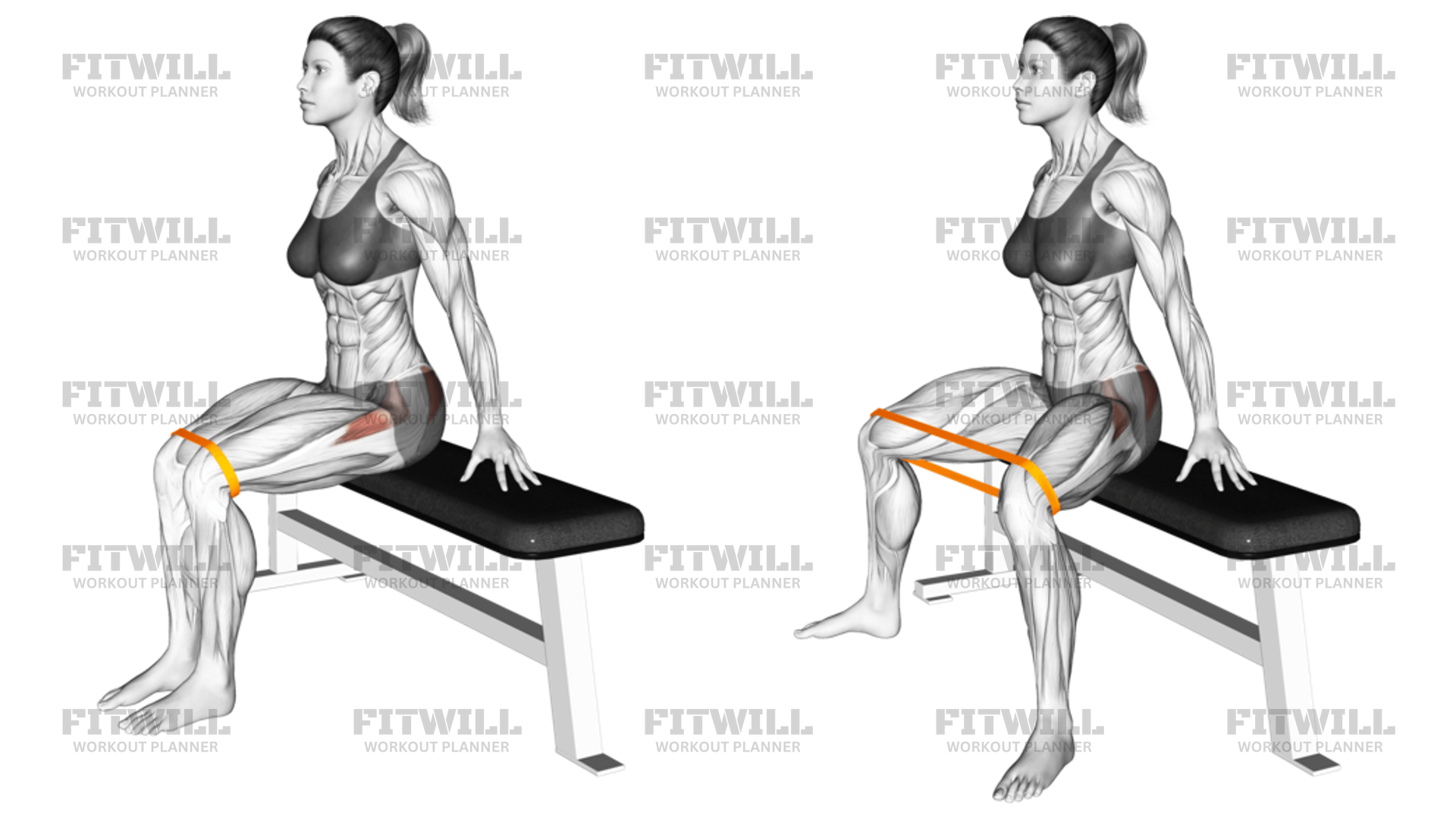 How to do Resistance Band Seated Hip Abduction (VERSION 2): Techniques ...