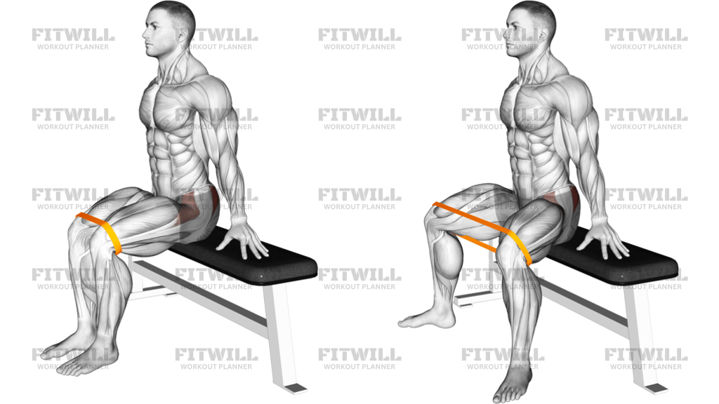 Resistance Band Seated Hip Abduction Version 2