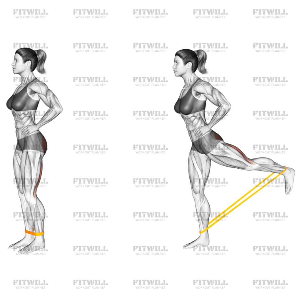 Resistance Band Standing Balance Glute Kickback Exercise Guide Video Techniques Benefits How to Muscles Worked Tips Tricks Fitwill