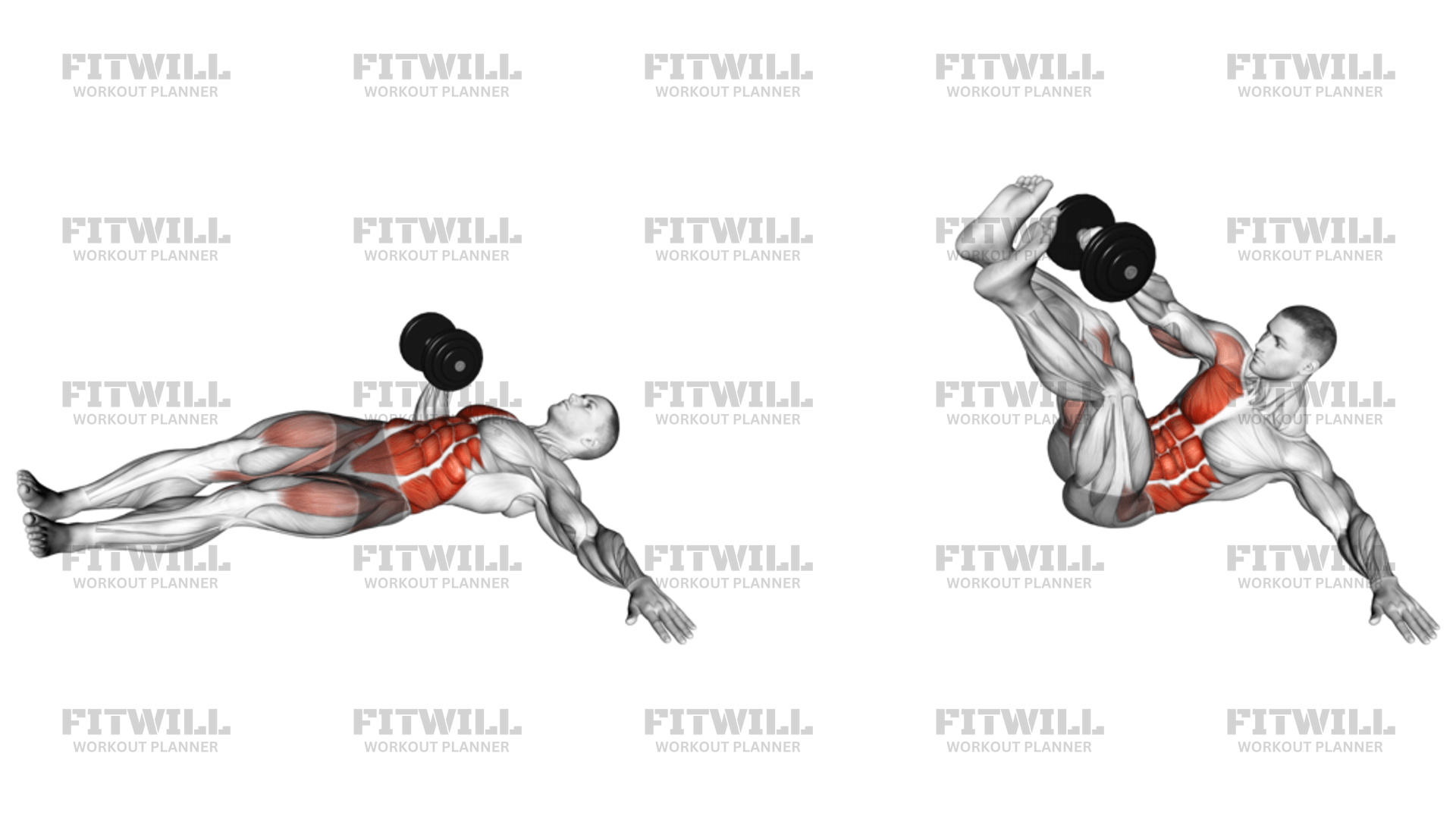 Dumbbell Lying Oblique V up Exercise Guide Video Techniques Benefits How to Muscles Worked Tips Tricks Fitwill