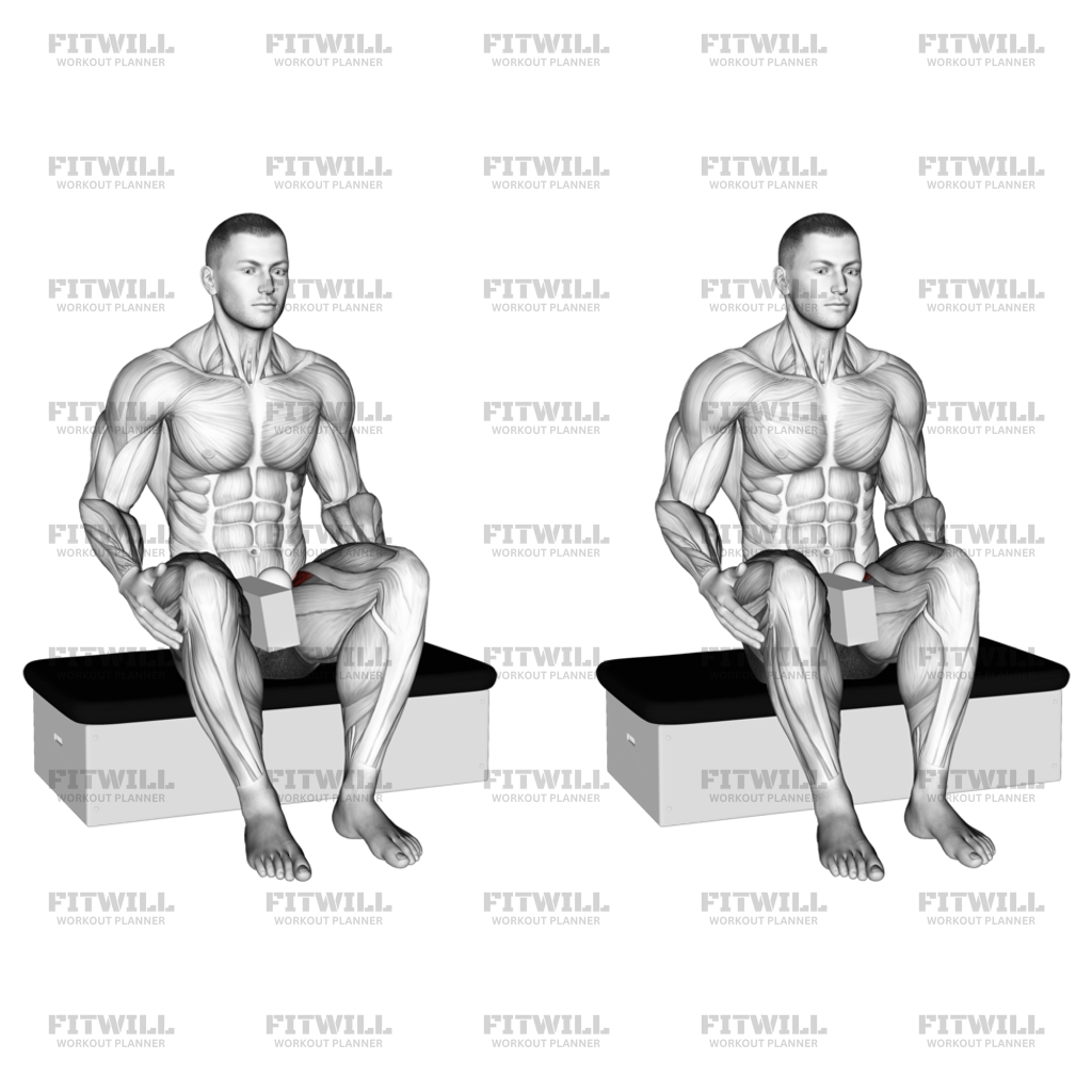 Pectineus strengthening hotsell