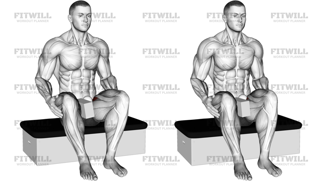 Roll Ball Seated Pectineus Activation