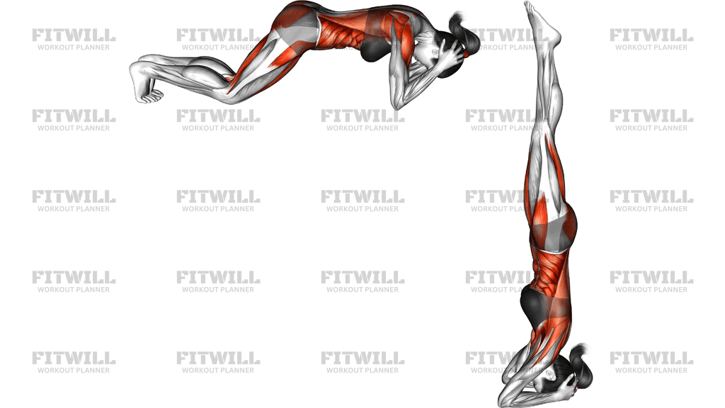 Supported Headstand Yoga Pose Sirsasana