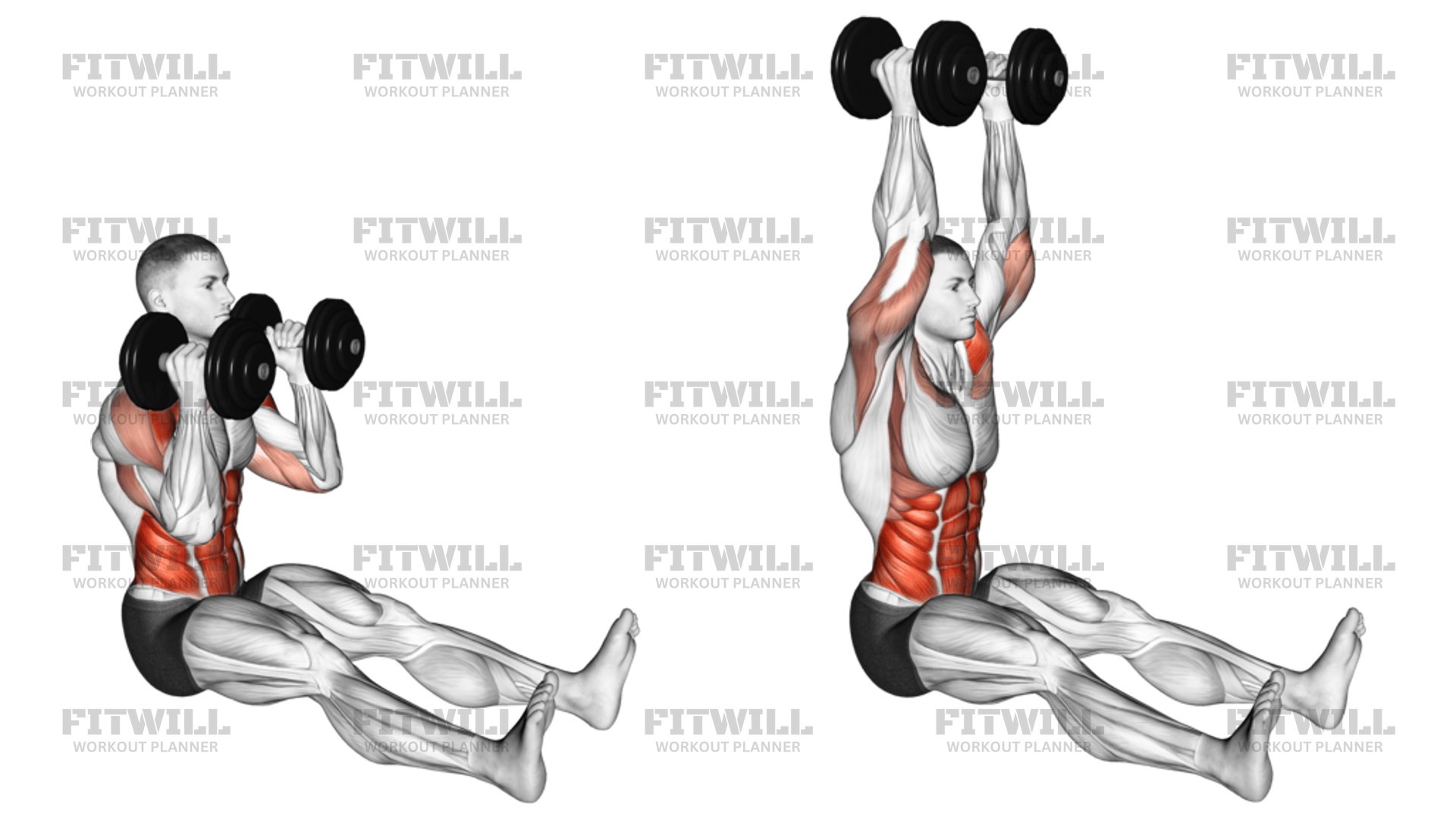 Dumbbell Z Press Exercise Guide Video Techniques Benefits How to Muscles Worked Tips Tricks Fitwill