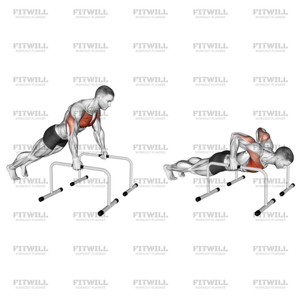 Push up bar ejercicios hotsell