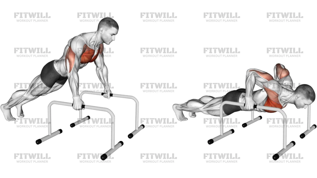 Deep Push-Up On Parallel Bars