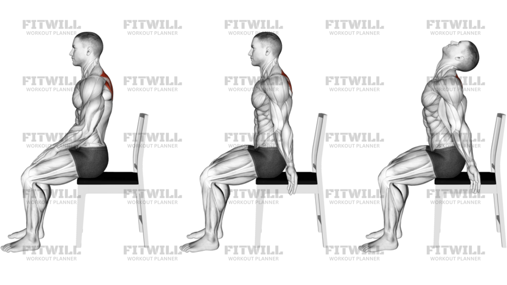Sitting Scapular Adduction