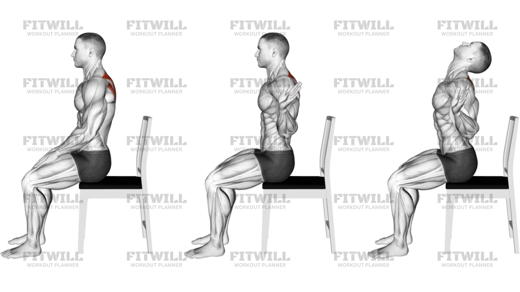 Sitting Scapular Adduction Version 2