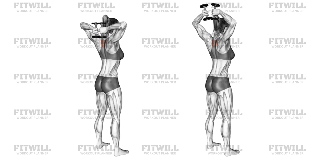 Dumbbell Standing T-Spine Press: Exercise Guide, Video, Techniques ...