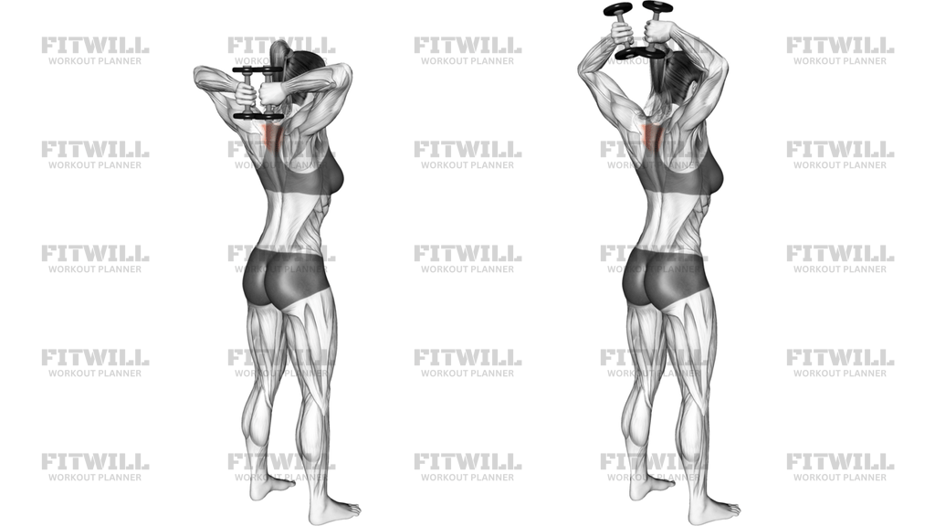 Dumbbell Standing T-Spine Press