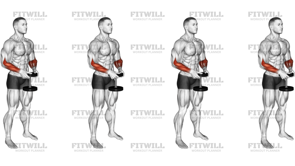 Dumbbell Standing Hands Torsion